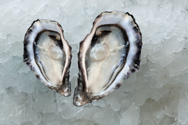 Oysters - Live, Royal Miyagi (British Columbia) - 12 ct