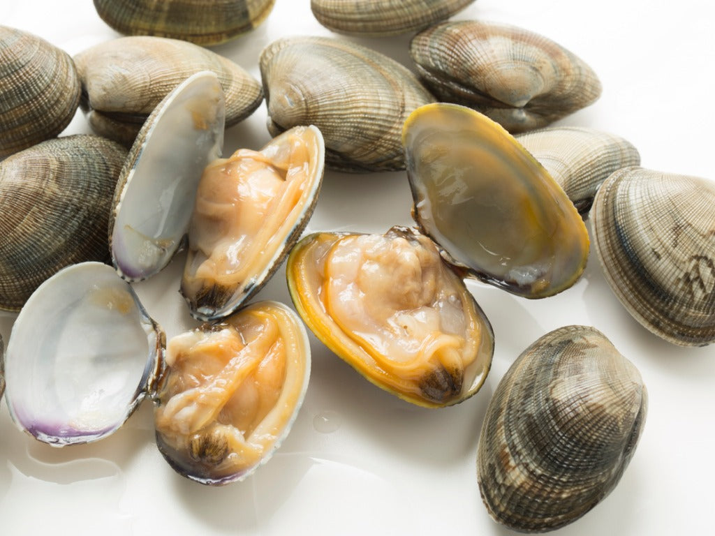 live clams