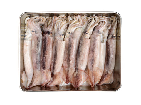 Squid - Monterey Squid, Loligo, Frozen (Monterey) - avg 1 lb