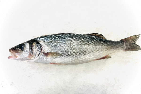 Branzino - Whole, Scaled, Cleaned (Mediterranean) - avg 1.25 lbs per fish