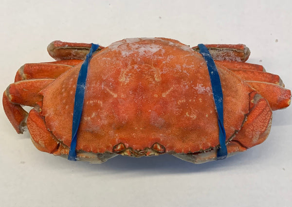 Dungeness Crab - Cooked and Frozen (Oregon) - avg 1.75 lbs