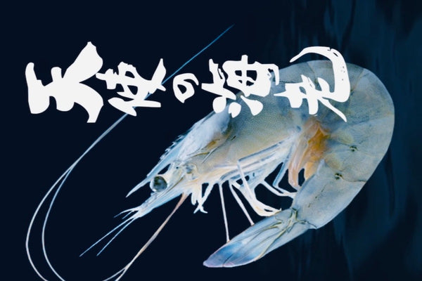 Blue Prawns - Tenshi no Ebi, Size 20/30, Frozen (Japan) - 2.2 lb