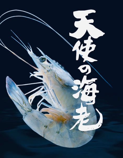 Blue Prawns - Tenshi no Ebi, Size 20/30, Frozen (Japan) - 2.2 lb