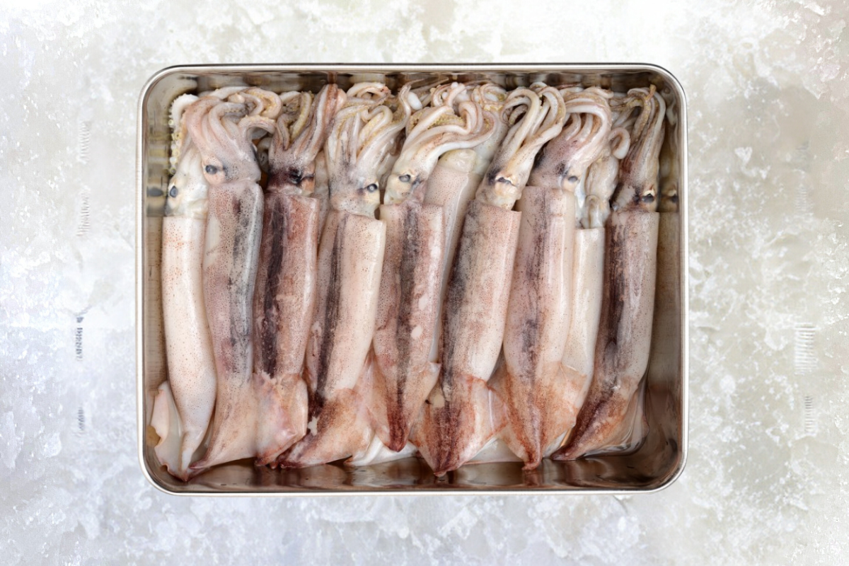 Squid - Monterey Squid, Loligo, Frozen (Monterey) - avg 1 lb