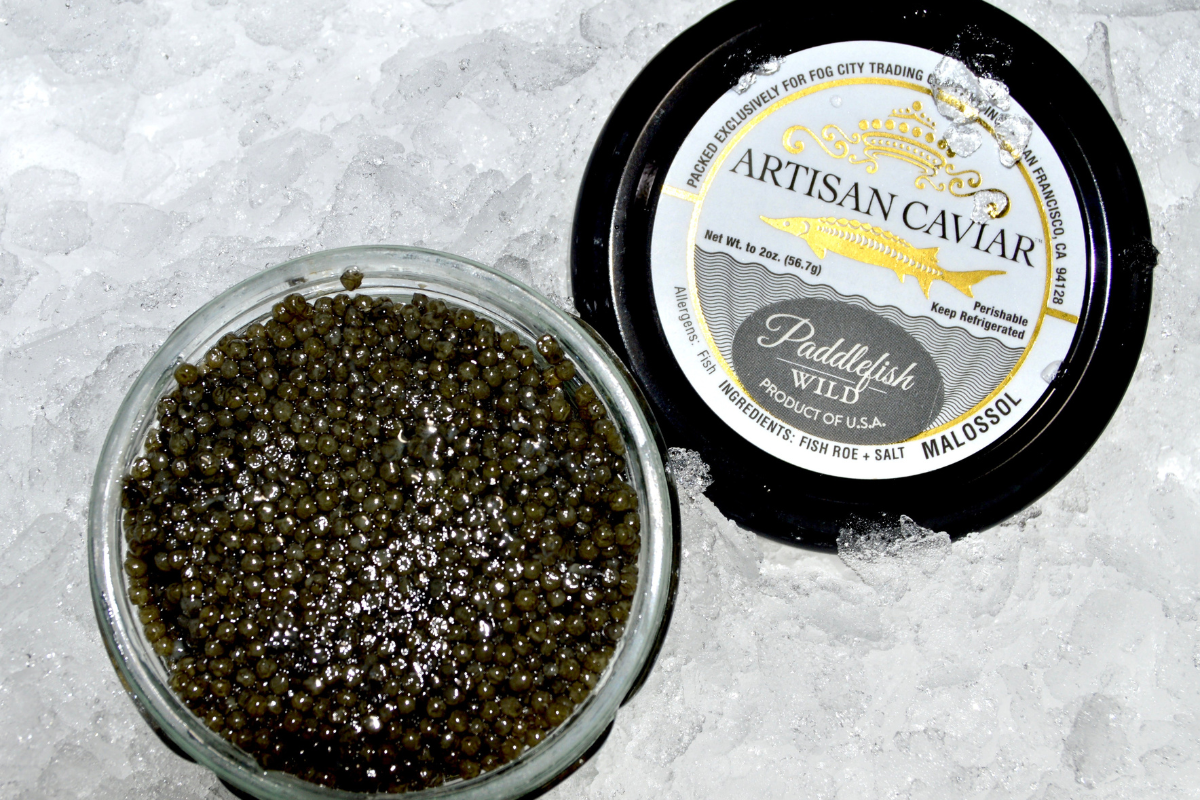 Caviar - Paddlefish Roe Caviar - 1 oz