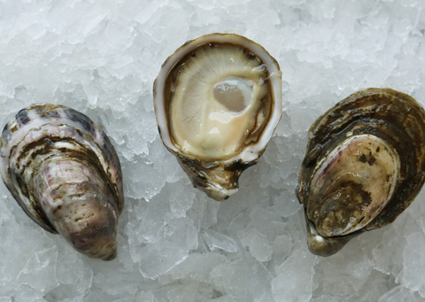 Oysters - Live, Oishi (Washington) - 12 ct