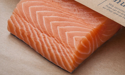 Salmon - Fillet, Verlasso, Skin on (Patagonia) - avg 1 lb