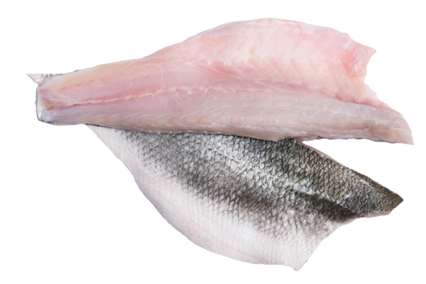 Pacific Corvina Bass - Fillet (Ecuador) - avg 1 lb