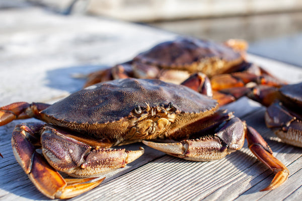 Dungeness Crab - Live, Whole (Local) - avg 2 lb