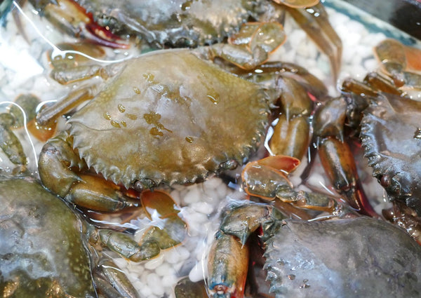 Soft Shell Crab - Prime, Flash Frozen - 2.2 lb