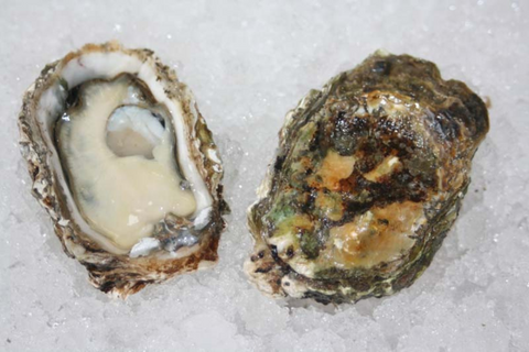 Oysters - Live, Kumamoto (Humboldt) - 12 ct