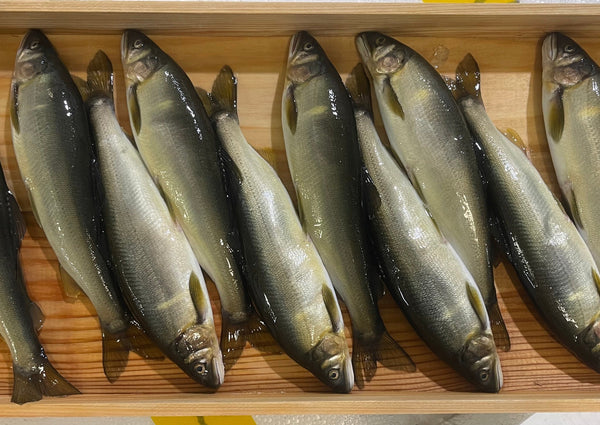 Ayu - Sweetfish, Whole, Fresh (Japan) - 3 pc