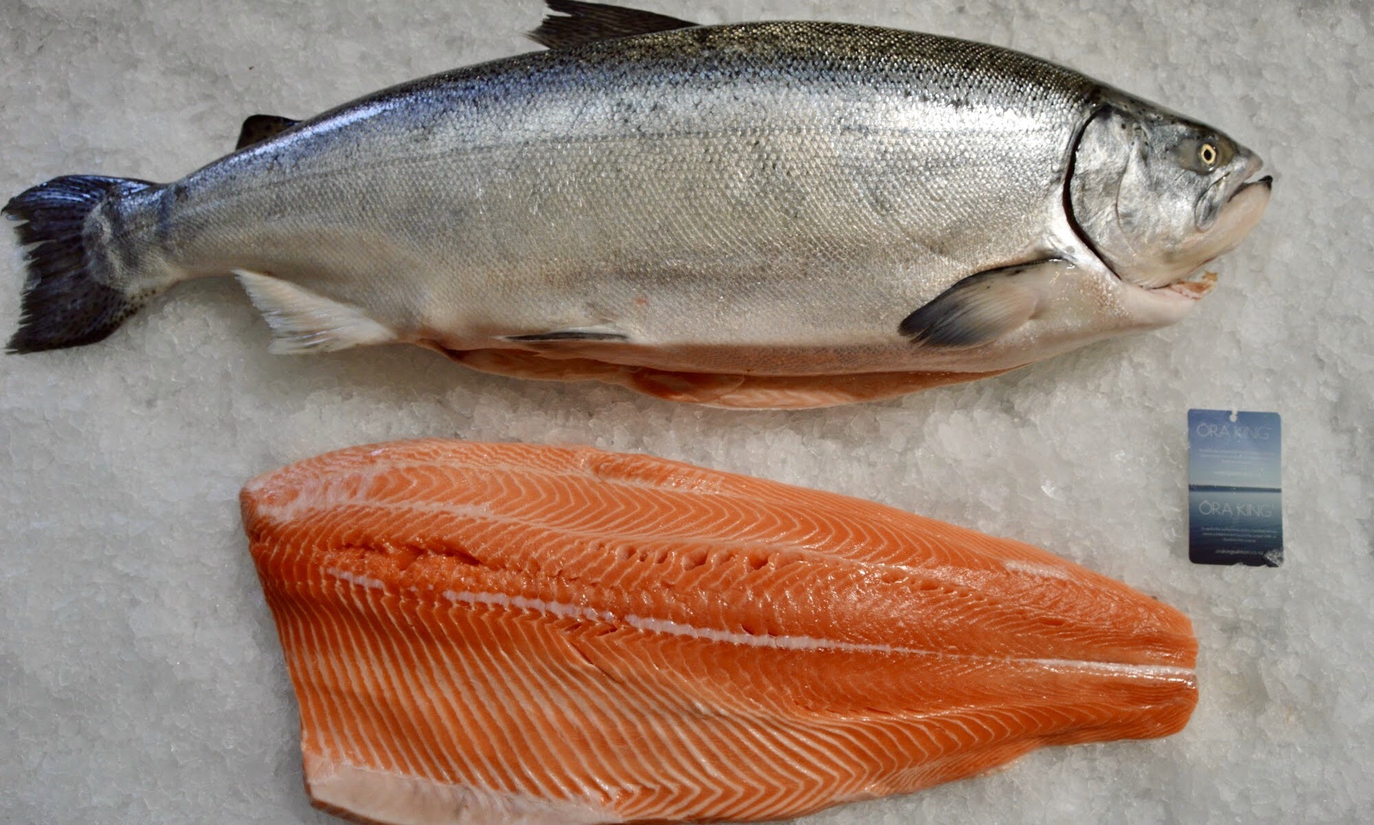 Salmon - Side, Ora King (New Zealand) - avg 3 lb