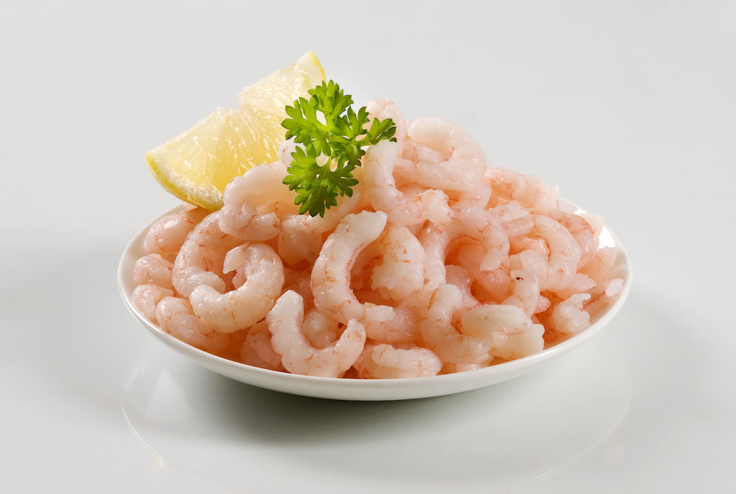 Bay Shrimp - Fresh (Oregon) - avg 1 lb