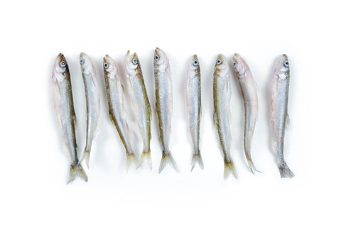 Lake Smelt - Whole, Frozen (Canada) - avg 1 lb