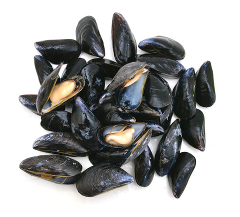 Mussels - Live, Prince Edward Island (Nova Scotia) - 5 lb