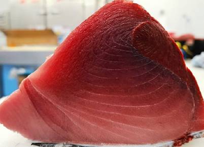 Bluefin Tuna - Steak Cut (New Zealand) - avg 1 lb