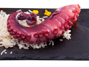Octopus - Nobashi Madako, Frozen - 2.2 lb