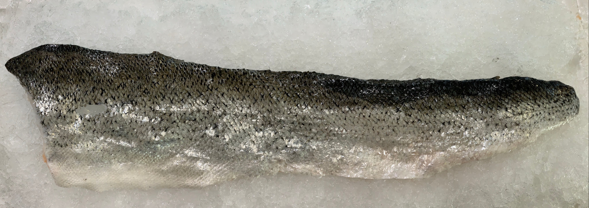 Salmon Skin - Fresh, Scaled